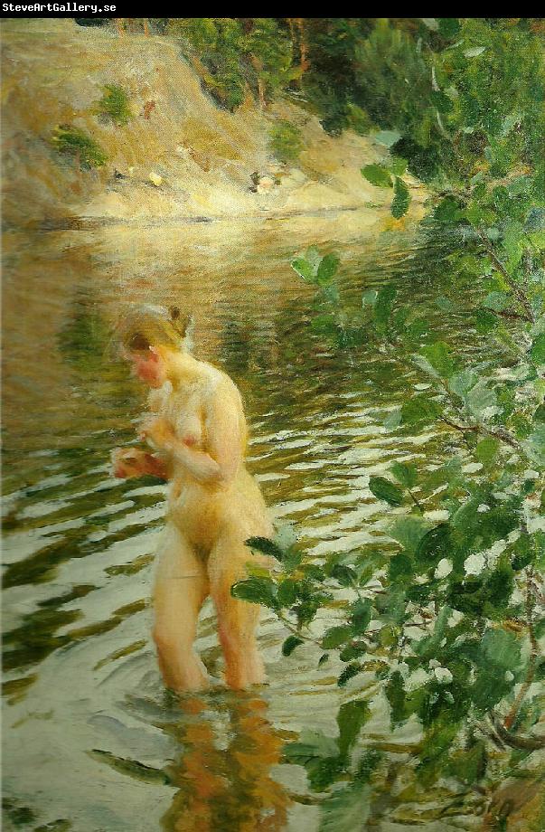 Anders Zorn frileuse
